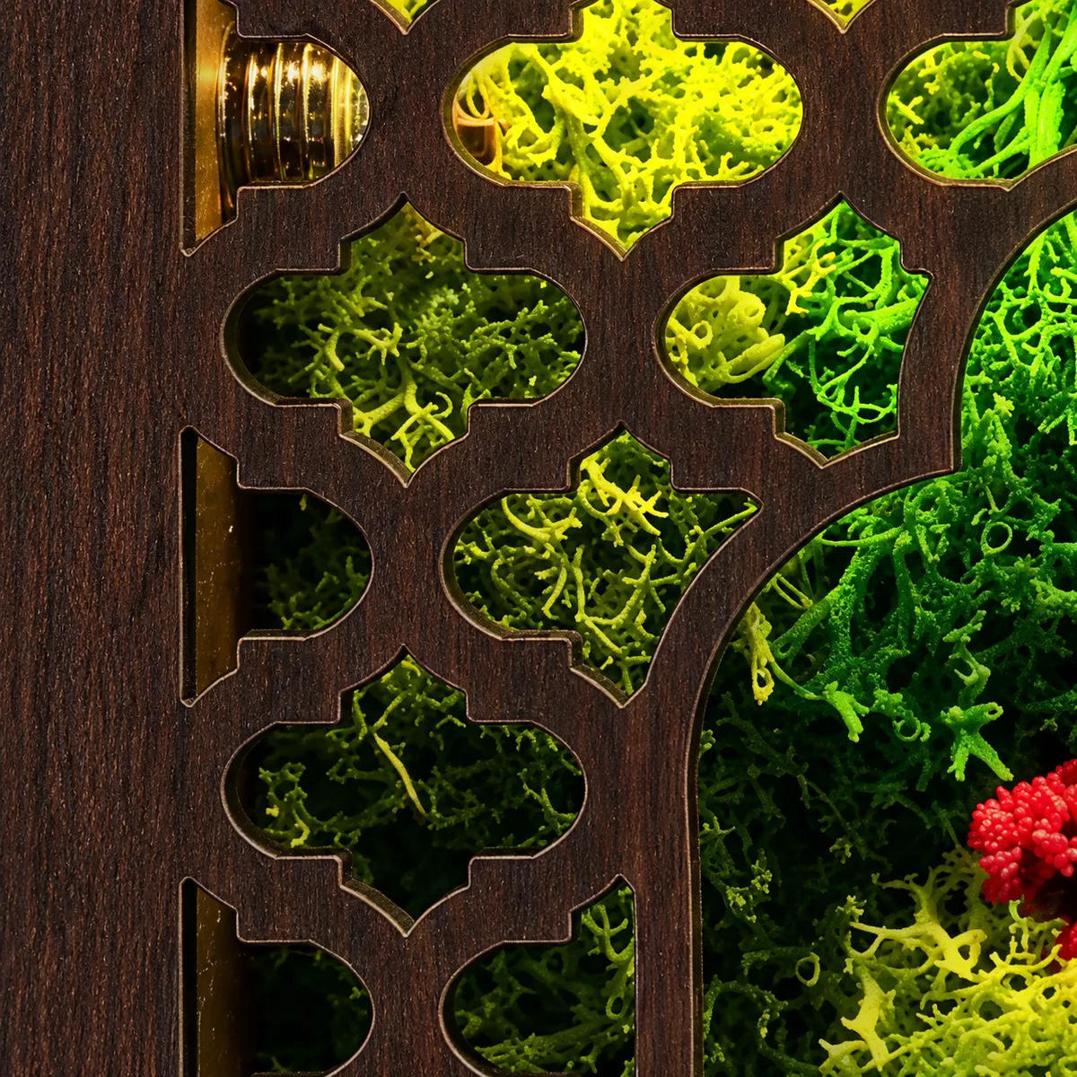 Close-up of the carved jali side of the frame with lit moss showing through the openings