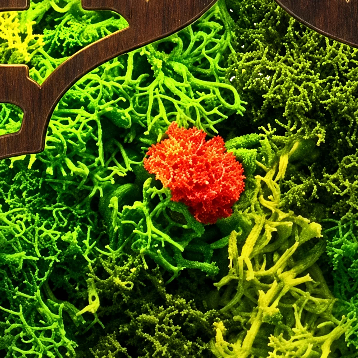 Close-up of a small red preserved flower among bright green moss