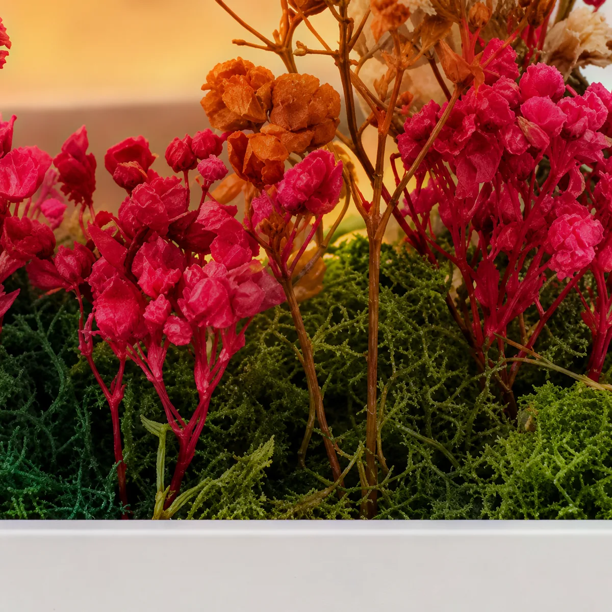 Close-up of red preserved flowers above dark green moss at the white base
