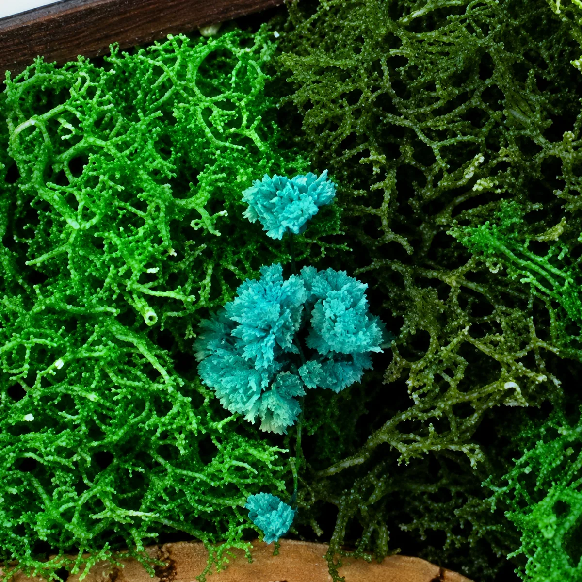 Close-up of a small blue preserved flower in bright and deep green moss