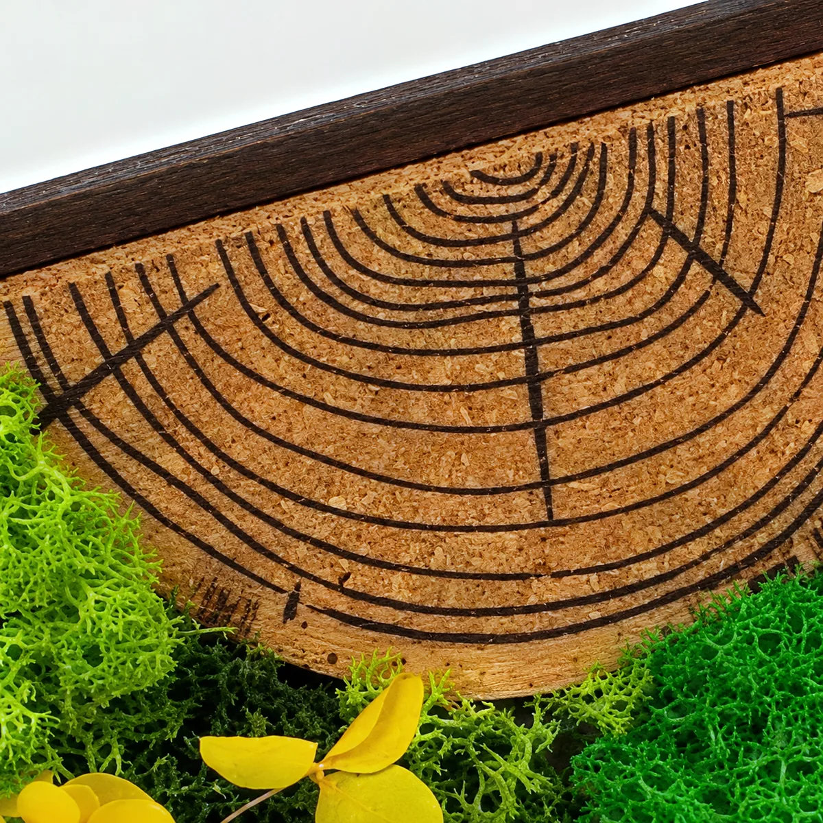 Close-up of the cork with printed tree rings, moss and a yellow petal below it