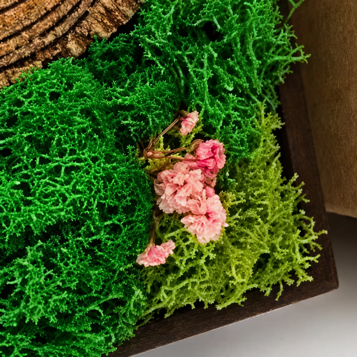 Close-up of small pink preserved flowers in moss near the dark frame