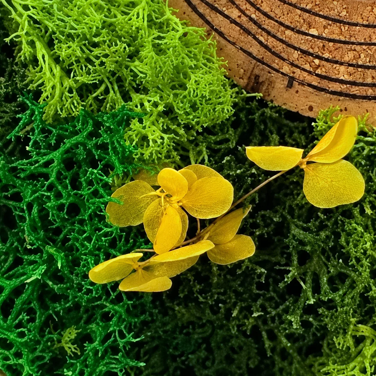 Close-up of small yellow preserved petals on bright green moss beside the cork