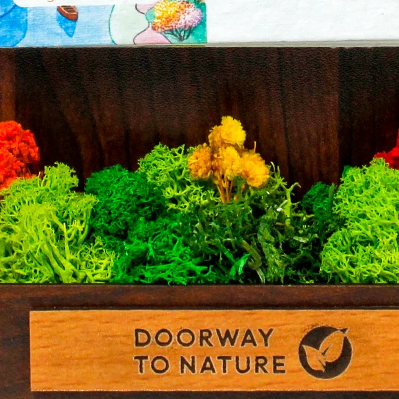 Close-up of the garden: preserved yellow and orange flowers in moss of several greens above the wooden plate