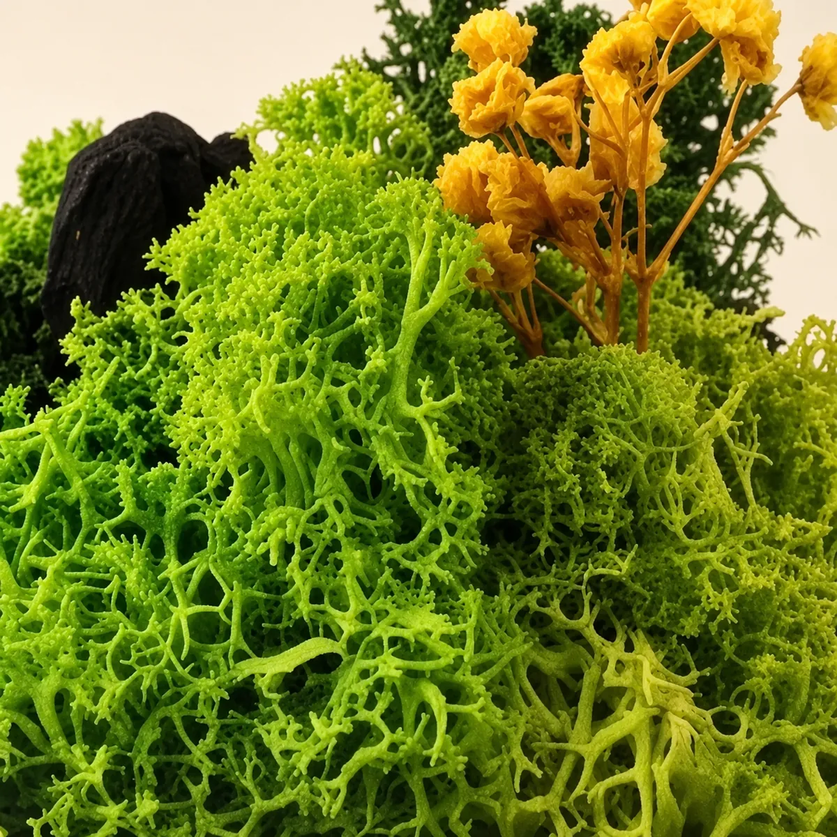 Close-up of the preserved moss in lime, mid and deep greens, small yellow flowers above and a dark forest element behind
