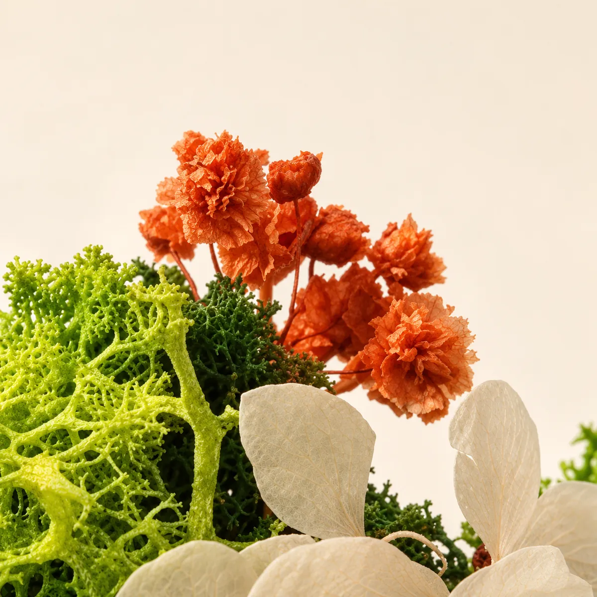 Close-up of preserved rust-orange flower clusters above moss