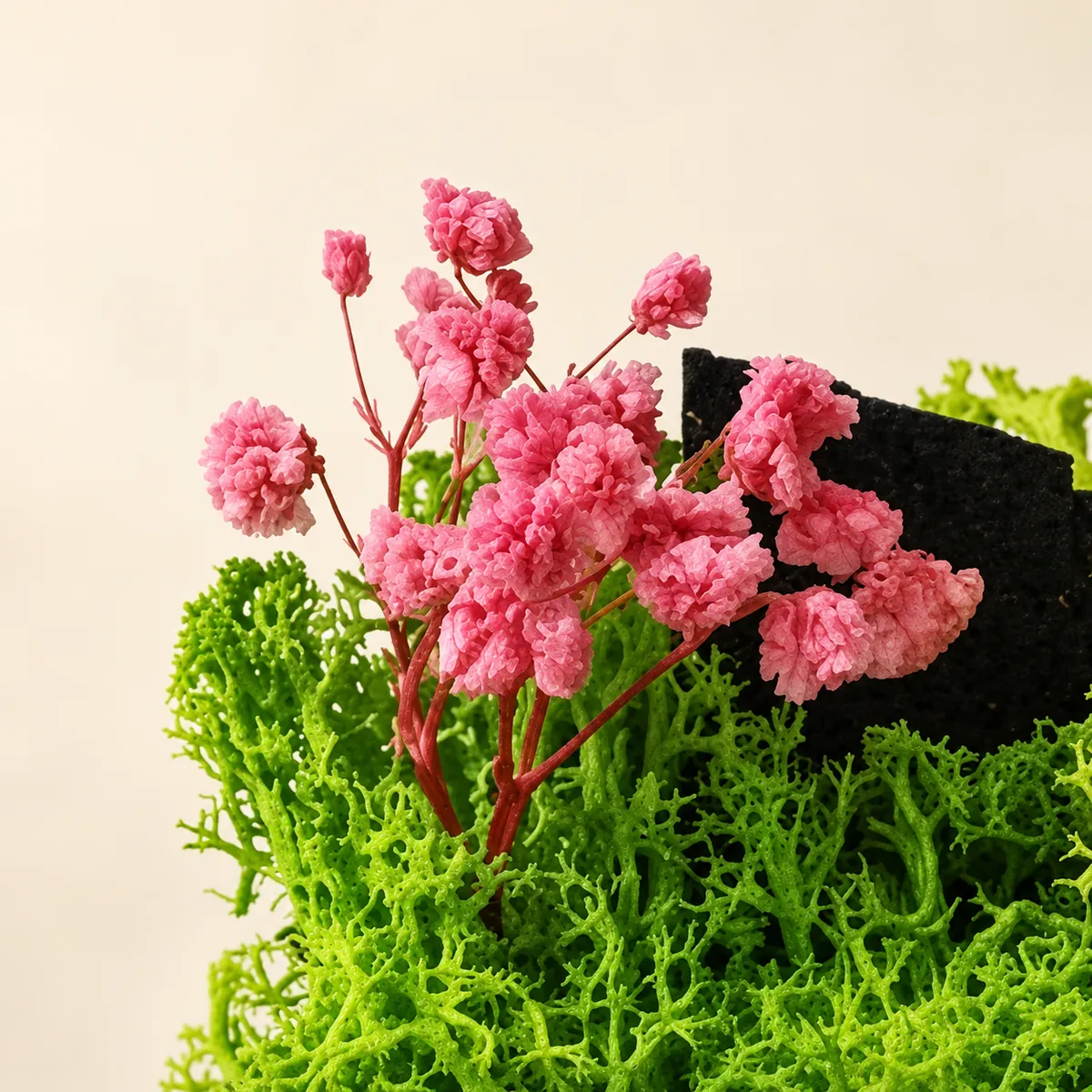 Close-up of small preserved pink flowers on red stems above bright green moss