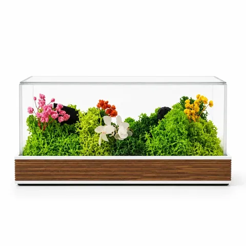 A forest terrarium of preserved plants under a clear cover