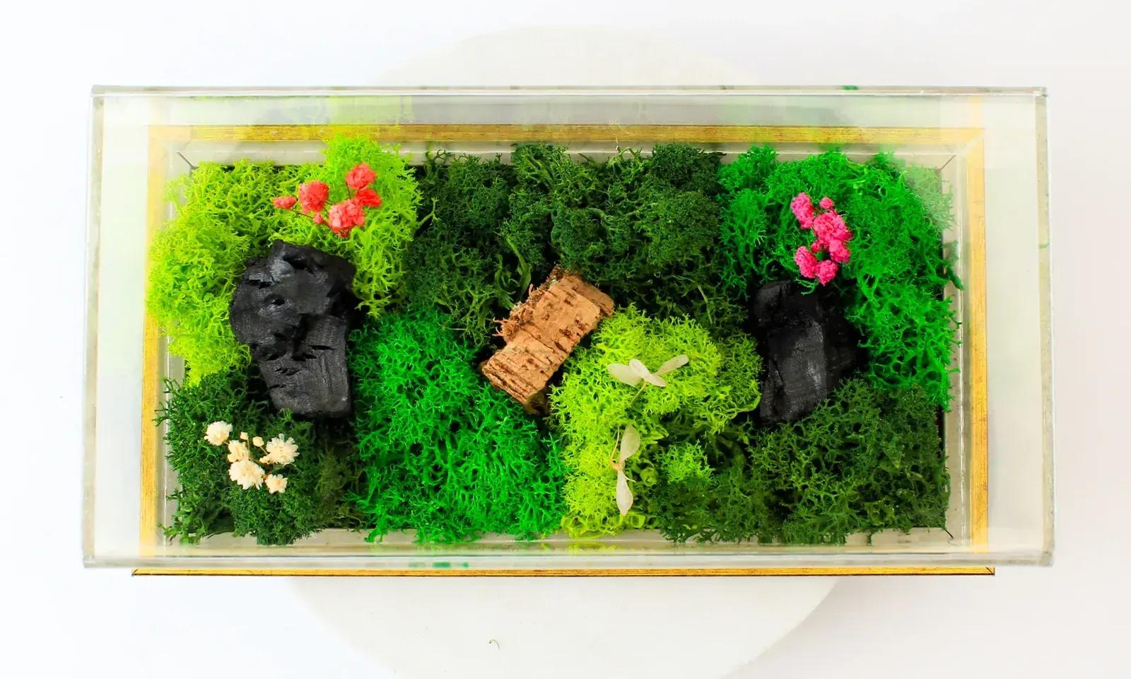 Looking down through the clear cover: moss in three greens, pink and cream flowers, two dark forest elements and a tiny footbridge