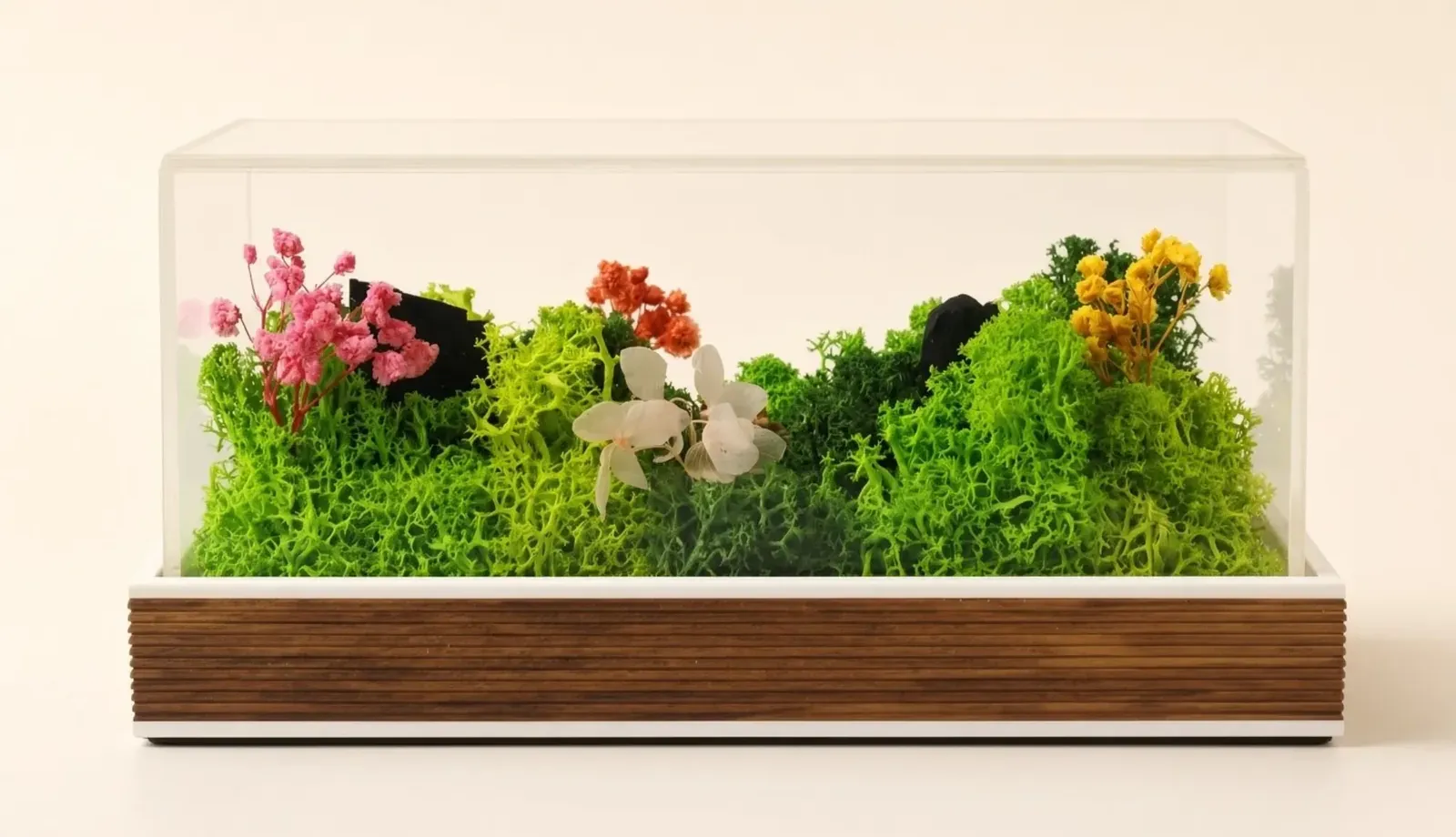 The terrarium straight on, numbered: the clear cover, the flowers, the moss, the base and the front of the base where a logo can go