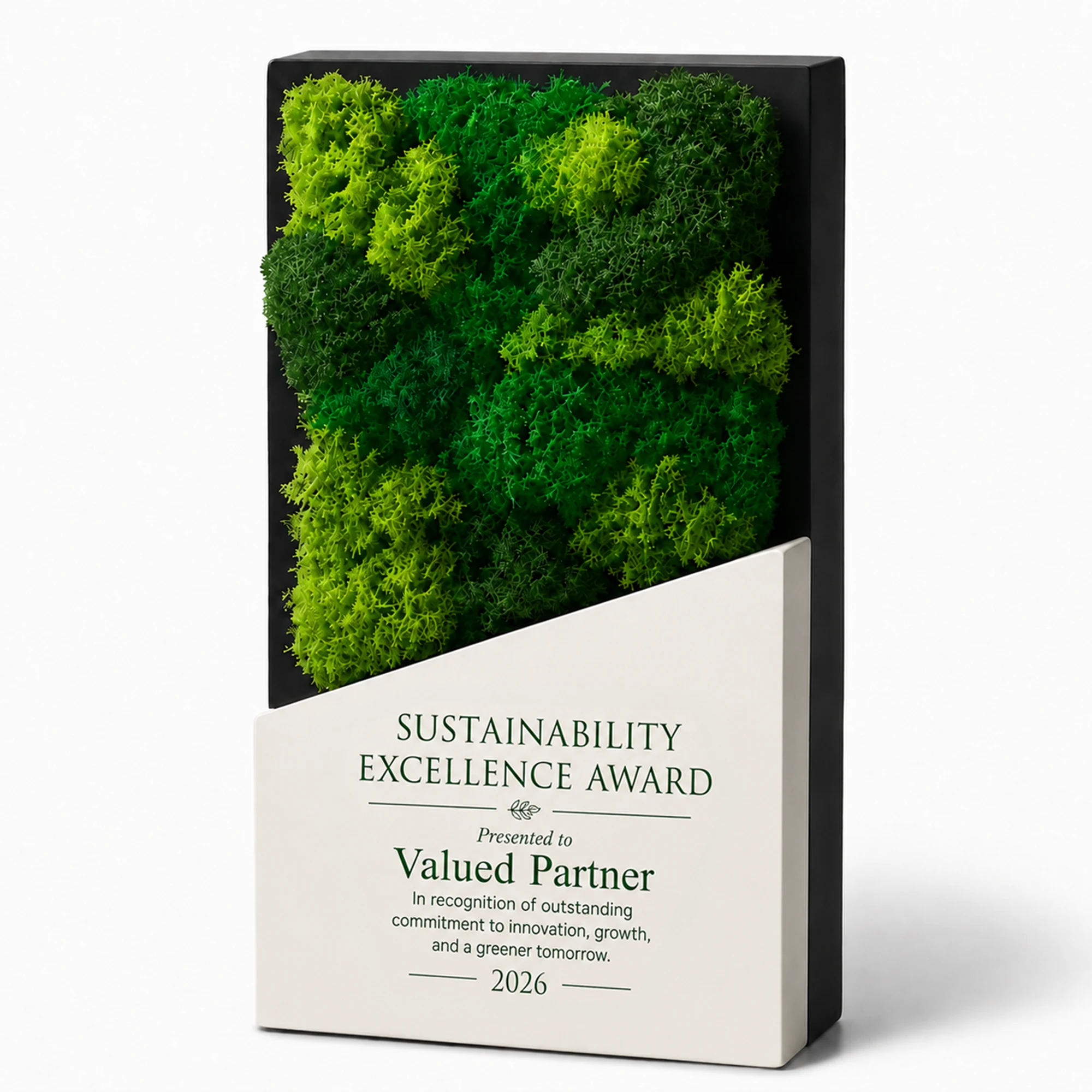 Preserved botanical award with framed moss display and plaque