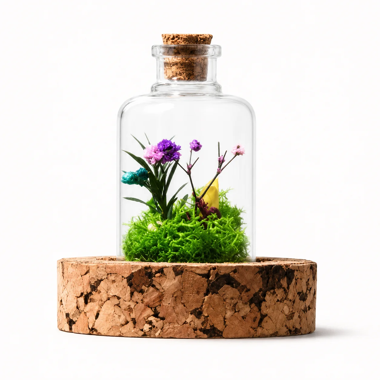 Enclosed preserved botanical display in a glass dome on a cork base