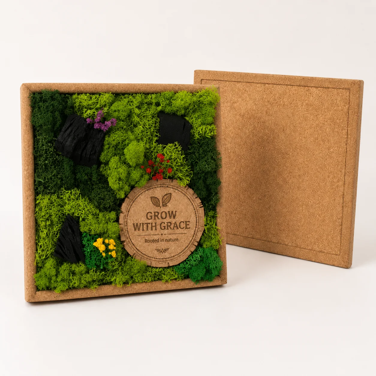 Framed preserved botanical composition with cork cover placed beside it