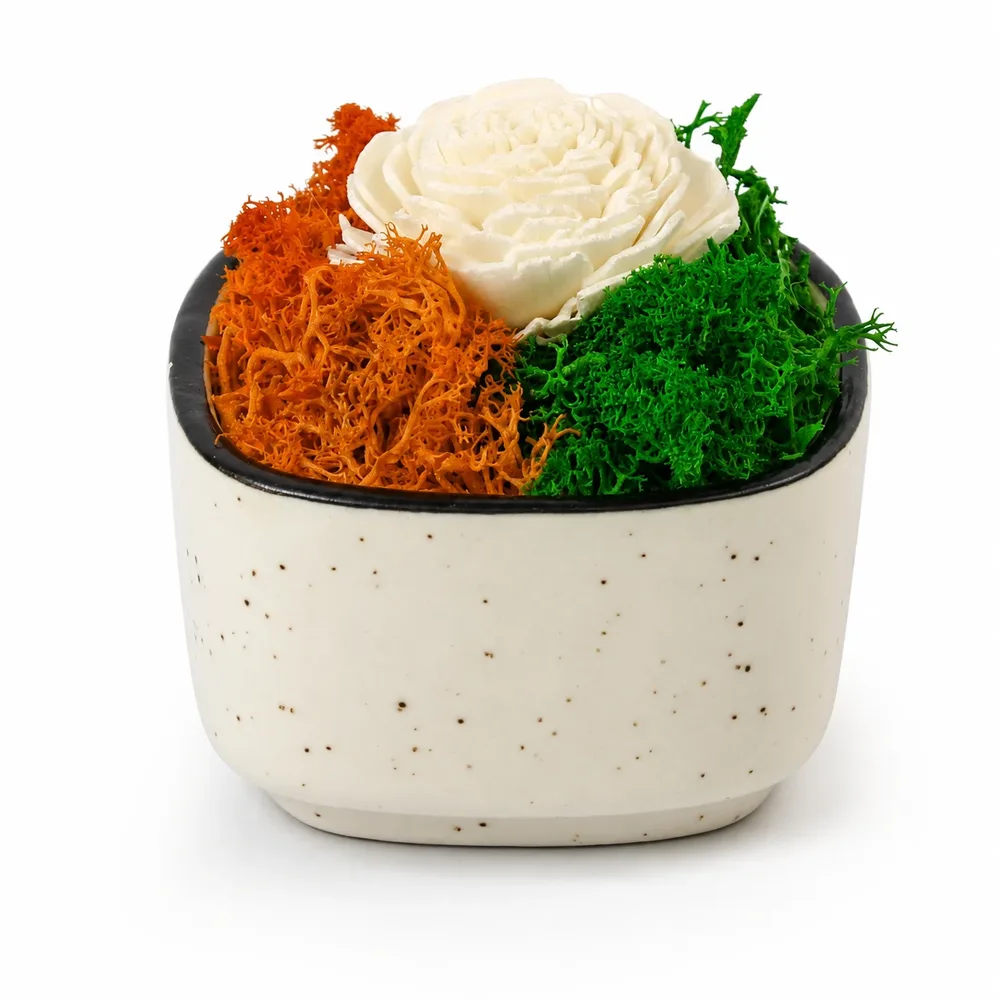 Ceramic bowl with saffron, white and green preserved moss and white shola flower
