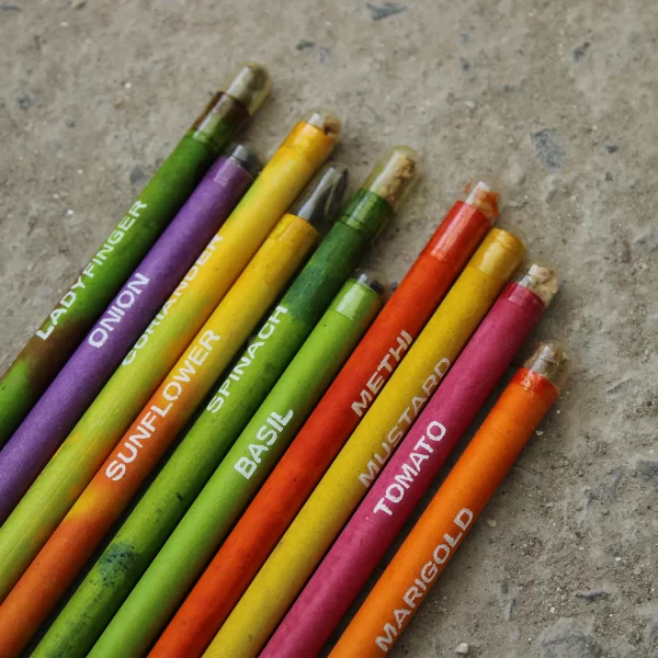 bioQ Plantable Seed Pencil | Eco Friendly Recycled Paper Pencil | 100% Bio-degradale Pencil  for Office & School | 2B | BG01 - Image 2