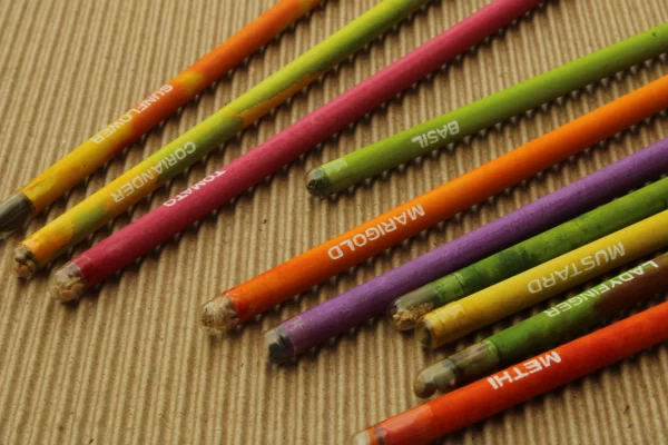 bioQ Plantable Seed Pencil | Eco Friendly Recycled Paper Pencil | 100% Bio-degradale Pencil  for Office & School | 2B | BG01 - Image 9