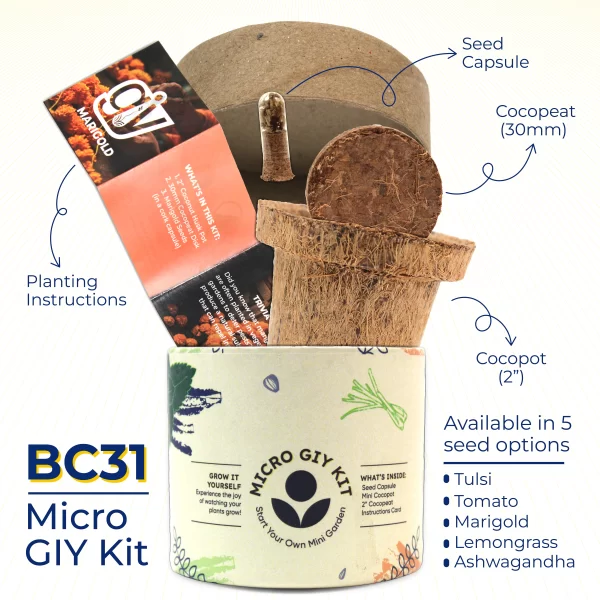 bioQ Micro GIY (Grow It Yourself) Kit | BC31 | Includes Cocopot, Cocopeat & Instruction Card | Eco-Friendly Paper Box Packaging