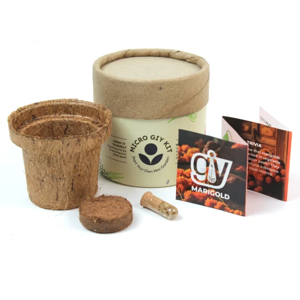 bioQ Micro GIY (Grow It Yourself) Kit | BC31 | Includes Cocopot, Cocopeat & Instruction Card | Eco-Friendly Paper Box Packaging - Image 4