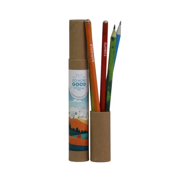 bioQ Box Of 5 Plantable Seed Pencil | Eco Friendly Box For Offices | Recycled Paper Bulk Packaging | Grow Plants From Pencil | 100% Bio-Degradable Pencil Body | BG03